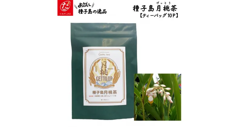 【ふるさと納税】種子島 月桃茶 月桃 ゲットウ