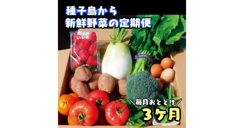 【ふるさと納税】【定期便】 種子島採れたて産地直送 3か月連続お届け 【 野菜 果物 7～10品目 + 鶏卵】 種子島 鹿児島 3回 お楽しみ 詰め合わせ 定期便 ふるさと納税 産地直送 フルーツ 卵 鹿児島県