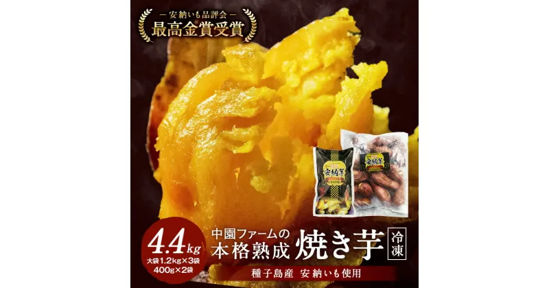 【ふるさと納税】 【 訳あり 】 ＼ 約4.4kg で 15000円 ／ 熟成 冷凍 焼き芋 種子島 安納いも 業務用 + ギフトサイズ セット 中園ファーム ふるさと納税 訳あり ふるさと納税 さつまいも ふるさと納税 焼き芋 冷凍 ホクホク 芋 冷凍焼き芋 安納芋 ふるさと 人気 ランキング