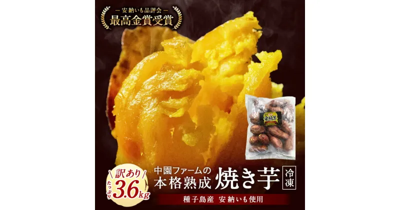 【ふるさと納税】 【 訳あり 】 ＼ 約3.6kgで 12000円 ／ 熟成 冷凍 焼き芋 種子島 安納いも 業務用 1.2kg×3袋 中園ファーム ふるさと納税 訳あり ふるさと納税 さつまいも ふるさと納税 焼き芋 冷凍 ホクホク 芋 冷凍焼き芋 安納芋 ふるさと 人気 ランキング