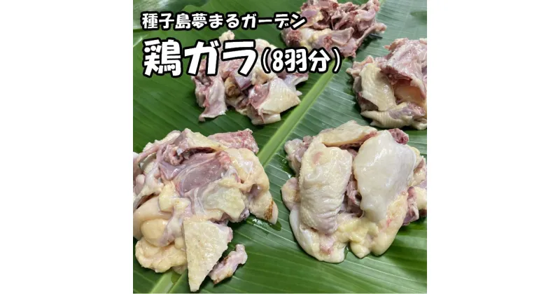 【ふるさと納税】種子島　夢まるガーデンの鶏ガラ（8羽分）約3kg