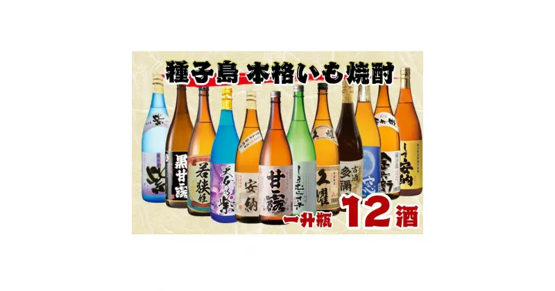 【ふるさと納税】種子島 本格焼酎 一升瓶 12酒 飲みくらべセット