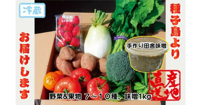 【ふるさと納税】種子島 発！旬の 野菜 と 果物 と 手作り田舎味噌 セット