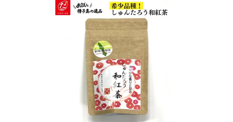 【ふるさと納税】 種子島 射場(勇) 製茶 の 希少 品種 しゅんたろう 和紅茶 日本茶 緑茶 お茶