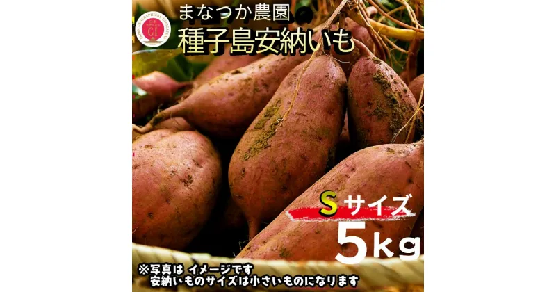 【ふるさと納税】＼ 10月～発送開始 ／ 令和6年産 種子島 安納いも ＼ Sサイズ 生いも 5kg ／まなつか農園　在庫なくなり次第受付終了