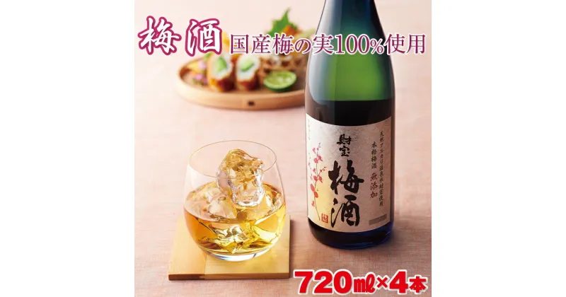 【ふるさと納税】 梅酒 4本セット 国産梅 国産はちみつ 使用 濃厚な味わい 4合瓶 720ml アルコール 12度 天然アルカリ温泉水 財寶温泉 使用 本格梅酒 梅の実 蜂蜜 完熟梅 熟成 ストレート ロック 炭酸割り 水割り 女性 人気 鹿児島県 垂水市 お酒 果実 【財宝】 A1-22454