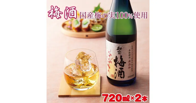 【ふるさと納税】 梅酒 2本セット 国産梅 国産はちみつ 使用 濃厚な味わい 4合瓶 720ml アルコール 12度 天然アルカリ温泉水 財寶温泉 使用 本格梅酒 梅の実 蜂蜜 完熟梅 熟成 ストレート ロック 炭酸割り 水割り 女性 人気 鹿児島県 垂水市 お酒 果実 【財宝】 W-22167