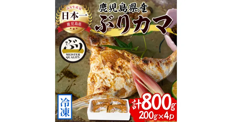 【ふるさと納税】＜2週間以内に発送！＞鹿児島産冷凍ぶりカマ(計800g・200g×4個)ぶり ブリ 鰤 魚 海鮮 魚介 カマ 国産 鹿児島県産 垂水市産 小分け 冷凍 養殖 ぶり職人【アクアブルー】A1-47140