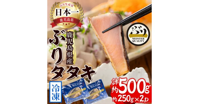 【ふるさと納税】＜2週間以内に発送！＞鹿児島産冷凍ぶりタタキ(計500g・250g×2P)ぶり ブリ 鰤 魚 魚介 タタキ たたき 刺身 国産 鹿児島県産 垂水市産 小分け 冷凍 養殖 ぶり職人【アクアブルー】A1-47138