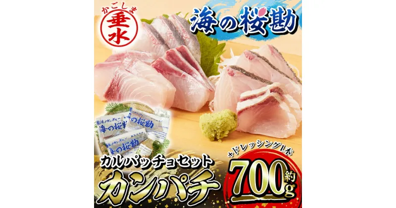 【ふるさと納税】鹿児島県垂水市産カンパチ『海の桜勘』カルパッチョセット(皮無しロイン 約700g+ドレッシング1本)魚 魚介 海鮮 セット カンパチ かんぱち 勘八 刺身 柵 ドレッシング 冷凍 国産 鹿児島産 垂水【垂水市漁業協同組合】A1-0118