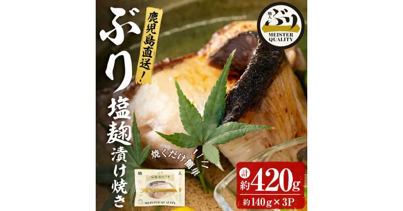 【ふるさと納税】＜2週間以内に発送！＞鹿児島産冷凍ぶり＜漬け焼き魚＞塩麹漬け焼き(計約420g・約140g×3パック)ぶり ブリ 鰤 魚 魚介 漬 塩麹 塩 しお 麹 こうじ 惣菜 おかず 国産 鹿児島県産 垂水市産 小分け 冷凍 養殖 ぶり職人 円筒 弁当【アクアブルー】A1-47146