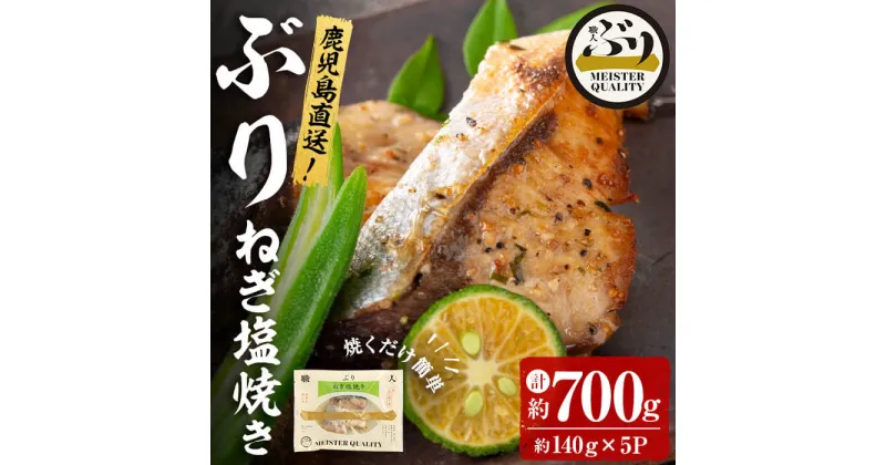 【ふるさと納税】＜2週間以内に発送！＞鹿児島産冷凍ぶり＜漬け焼き魚＞ねぎ塩焼き(計約700g・約140g×5パック)ぶり ブリ 鰤 魚 魚介 漬 ねぎ塩 ネギ塩 ねぎ ネギ 塩 ガーリック にんにく 惣菜 おかず 国産 鹿児島県産 垂水市産 小分け 冷凍 養殖【アクアブルー】A1-47151