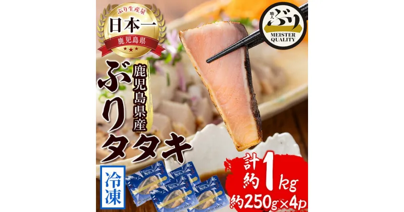 【ふるさと納税】＜2週間以内に発送！＞鹿児島産冷凍ぶりタタキ(計1kg・250g×4パック)ぶり ブリ 鰤 魚 魚介 タタキ たたき 刺身 国産 鹿児島県産 垂水市産 小分け 冷凍 養殖 ぶり職人【アクアブルー】A1-47153