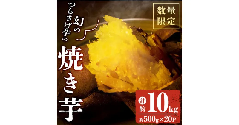 【ふるさと納税】【数量限定】【先行予約】宮下さんちの【幻のつらさげ芋】の焼き芋 10kg 期間限定 さつまいも さつま芋 数量限定 和スイーツ 焼き芋 やきいも 焼芋【宮下商店】 J14-2120