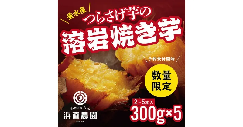 【ふるさと納税】【先行予約】【期間限定】つらさげ芋の溶岩焼き芋(300g×5パック) 高糖度の甘い焼き芋 ! デザート スイーツ セット 冷凍 焼芋 さつまいも お取り寄せ ギフト 贈り物 浜直農園 紅はるか 焼いも やきいも お芋 芋 鹿児島 オリジナル おやつ【浜直農園】A1-5421