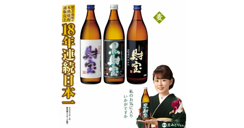 【ふるさと納税】 焼酎 麦 5合瓶 3種 3本 飲み比べ セット 麦焼酎 900ml アルコール 25度 天然アルカリ温泉水 を割水に使用 財寶温泉 使用 贈り物 プレゼント お酒【財宝】A1-22514