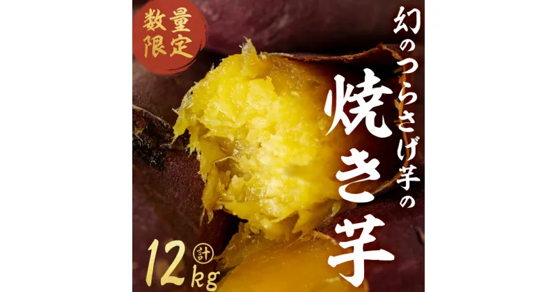 【ふるさと納税】【数量限定】【先行予約】つらさげ芋の焼き芋（500g×24P）期間限定 さつまいも おやつ さつま芋 サツマイモ お菓子 産地直送 お取り寄せ 数量限定 紅はるか 高級 和スイーツ 焼き芋 やきいも 焼芋 贈答用 【森人くらぶ】J10-1905