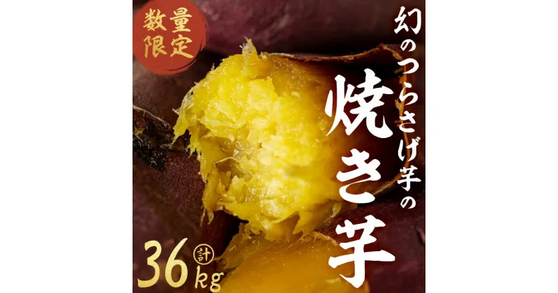 【ふるさと納税】【数量限定】【先行予約】つらさげ芋の焼き芋（500g×72P）期間限定 さつまいも おやつ さつま芋 サツマイモ お菓子 産地直送 お取り寄せ 数量限定 紅はるか 高級 和スイーツ 焼き芋 やきいも 焼芋 贈答用 【森人くらぶ】U30-1904