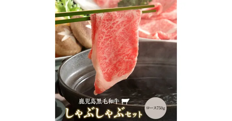 【ふるさと納税】鹿児島県産黒毛和牛しゃぶしゃぶ 750g Aセット ロース A5 和牛 手作り 名産鹿児島和牛かんだ本店 神田畜産 しゃぶ 牛 牛肉 鹿児島 ギフト プレゼント お中元 お歳暮 薩摩川内市 川内市 川内 ふるさと 納税