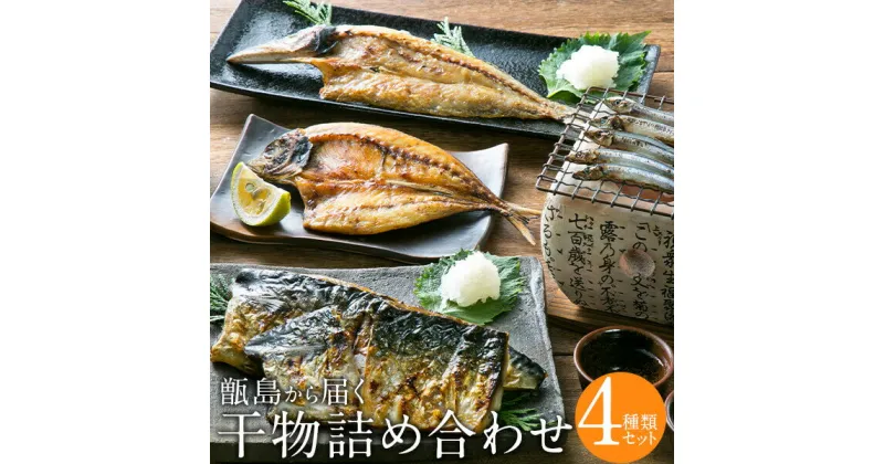 【ふるさと納税】甑島の干物詰め合わせB きびなご あじ さば かます 海上天日干し 鹿児島 東シナ海 甑島 上甑島 キビナゴ アジ サバ カマス 馬場水産加工場