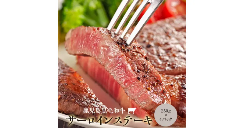 【ふるさと納税】 鹿児島県産黒毛和牛 サーロインステーキ 1kg (250g × 4枚) 牛肉 ステーキ 名産鹿児島和牛かんだ本店 A5 和牛 牛 肉 鹿児島 ギフト プレゼント お中元 お歳暮 薩摩川内市 川内市 川内 ふるさと 納税