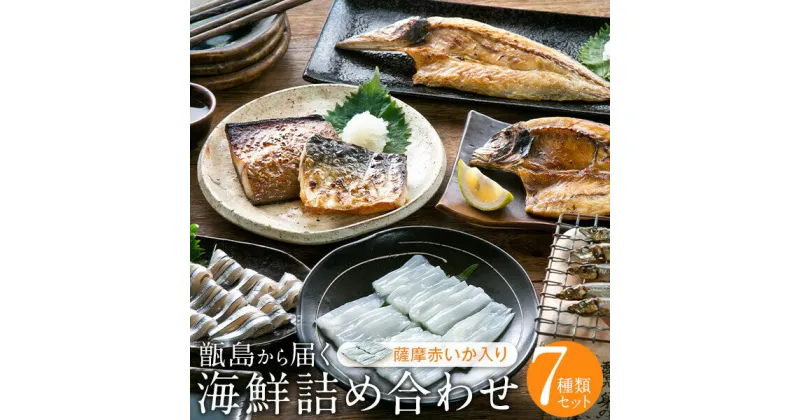 【ふるさと納税】甑島の海鮮詰め合わせ（いか） きびなご あじ さば かます 赤いか さつまあげ 海上天日干し 鹿児島 東シナ海 甑島 上甑島 キビナゴ アジ サバ カマス イカ 赤イカ 薩摩赤いか 馬場水産加工場