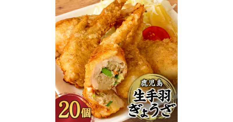 【ふるさと納税】鹿児島手羽ぎょうざ 20本 餃子のタレ1本付き まるしょう 手羽餃子 手羽先餃子 ぎょうざ ギョーザ 鹿児島 ギフト プレゼント お中元 お歳暮 ふるさと 納税 冷凍 送料無料 お肉のまるしょう 味処まるしょう