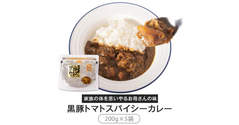 【ふるさと納税】黒豚 スパイシー カレー レトルト 1kg (200g x 5袋) 保存 非常食 トマトカレー 鹿児島 薩摩川内市 エーエフ 送料無料