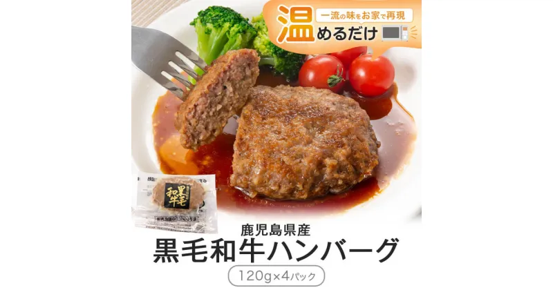 【ふるさと納税】鹿児島県産 黒毛和牛 ハンバーグ 計480g 120g×4 ジャポネソース付き 牛肉 お肉 国産 電子レンジ対応 温めるだけ 総菜 簡単 冷蔵 送料無料