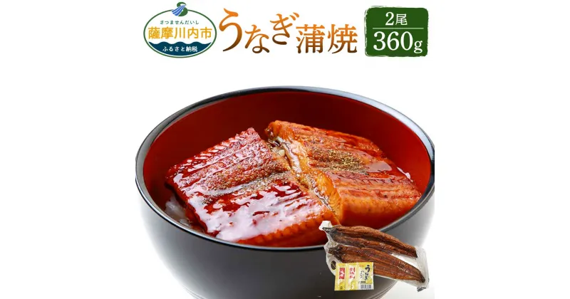 【ふるさと納税】鹿児島県産うなぎ蒲焼（有頭）×2尾 360g 鰻 ウナギ 国産 タレ 山椒付き 電子レンジ対応 総菜 簡単 冷蔵 送料無料