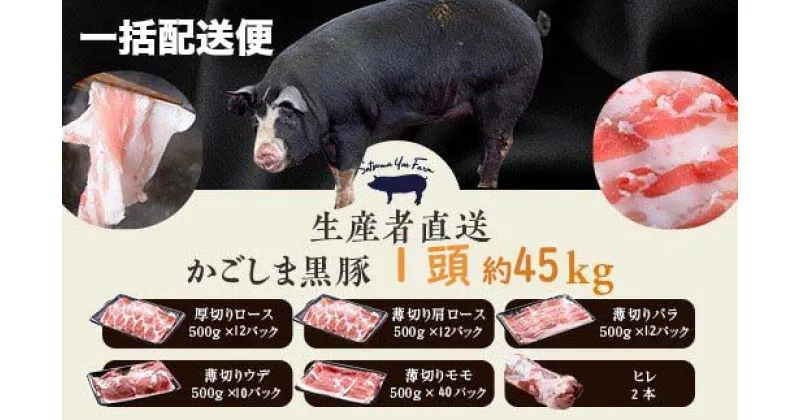 【ふるさと納税】かごしま黒豚1頭まるごと 約45kg【一括配送便】 生産者直送 鹿児島黒豚 鹿児島県産黒豚 鹿児島産黒豚 六白黒豚 バークシャー 黒豚農場 自社牧場 薩摩八重ファーム みかく亭 まるまる一頭 ロース バラ ウデ モモ ヒレ しゃぶしゃぶ とんかつ ポークステーキ