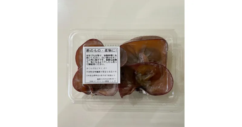 【ふるさと納税】【数量限定・無農薬】薩摩川内市産の生きくらげ 360g（120g×3パック）AS-024 数量限定 無農薬きくらげ きくらげ 国産菌床 薩摩川内市産 生きくらげ 鹿児島県 薩摩川内市 送料無料