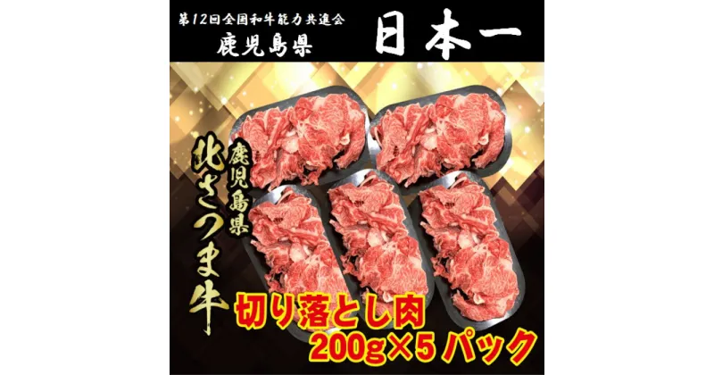 【ふるさと納税】北さつま牛 切り落とし　合計1kg（200g×5パック）AS-2034 北さつま牛 高崎牛 切り落とし鹿児島県産黒毛和牛 鹿児島県 薩摩川内市 送料無料