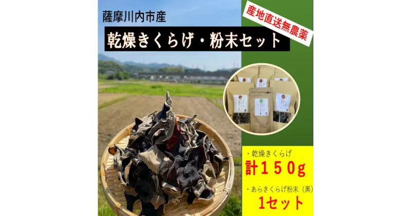 【ふるさと納税】薩摩川内市産の乾燥きくらげ・粉末セット DS-006 きくらげ 乾燥きくらげ 粉末 国産 鹿児島県 薩摩川内市 送料無料