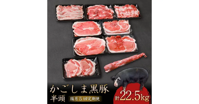 【ふるさと納税】【隔月5回定期便】かごしま黒豚半頭 合計約22.5kg セット 詰合せ かごしま黒豚 鹿児島黒豚 黒豚 六白黒豚 豚肉 肉 お肉 ロース肉 肩ロース肉 バラ肉 ウデ肉 モモ肉 ヒレ肉 冷凍 鹿児島県 薩摩川内市 送料無料