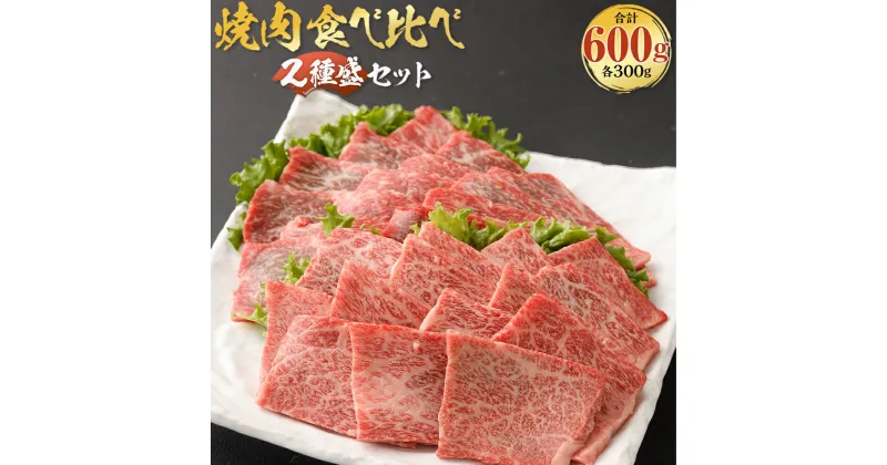 【ふるさと納税】北さつま高崎牛 焼肉食べ比べセット 2種盛り合計約600g ロース 赤身 お肉 肉 牛肉 焼肉 和牛 国産 冷凍 鹿児島県 薩摩川内市 送料無料