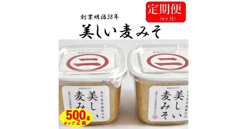 【ふるさと納税】【6カ月定期便】美しい麦味噌 500gカップ入り×2×6回 DS-007 万能 味噌 味噌汁 和食 食卓 彩 老舗 こだわり 健康 国産 人気 ギフト お中元 お歳暮 鹿児島県 薩摩川内市 送料無料