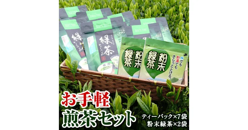 【ふるさと納税】お手軽煎茶セット 国産 九州産 鹿児島県産 日本茶 お茶 茶葉 煎茶 緑茶 セット【世献 榎園製茶】