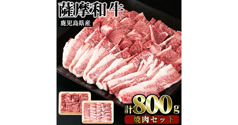 【ふるさと納税】薩摩和牛の焼肉セット(合計800g・牛バラ焼肉用400g、モモもしくはカタ焼肉用400g)国産 九州産 牛肉 和牛 牛バラ バラ肉 モモ肉 もも 肩肉 カタ カルビ 焼き肉 焼肉 数量限定 BBQ 冷凍【さつま屋産業】