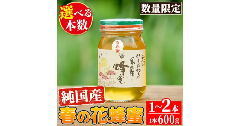 【ふるさと納税】＜本数選べる＞鹿児島春の花の蜂蜜 国産百花蜜(600g×1～2本) 国産 はちみつ ハチミツ 蜂蜜 花はちみつ 花ハチミツ 調味料 セット ギフト 贈答 プレゼント【伊集院物産】