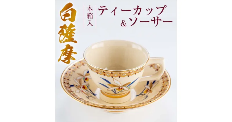 【ふるさと納税】《数量限定》白薩摩 ティーカップ＆ソーサー蘭！(1セット) 工芸品 工芸 陶芸 ティーカップ ソーサー 手作り 陶器【桂木陶芸】