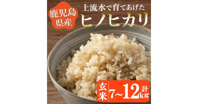 【ふるさと納税】＜選べる！＞《令和5年産！》鹿児島県産！ヒノヒカリ玄米(7kg・12kg) 鹿児島県産 米 お米 玄米 ごはん ヒノヒカリ 小分け【大潟屋】