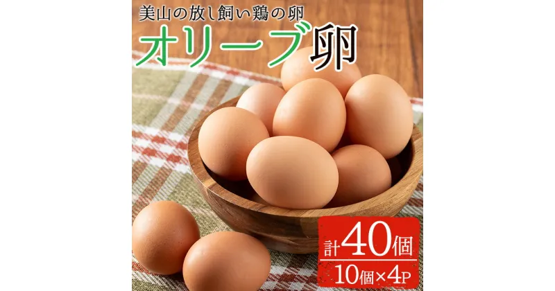 【ふるさと納税】鹿児島県産美山オリーブ卵(計40個・10個入×4P) 国産 九州産 たまご 卵 鶏卵 おかず【美山たまご王国】