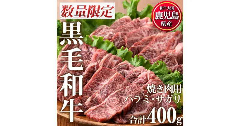 【ふるさと納税】＜数量限定＞鹿児島県産黒毛和牛焼肉セット(合計400g・ハラミ焼肉200g×1P、サガリ焼肉200g×1P)国産 九州産 牛肉 黒毛和牛 和牛 焼肉 焼き肉 赤身 ハラミ サガリ 霜降り 食べ比べ セット 冷凍【カミチク】