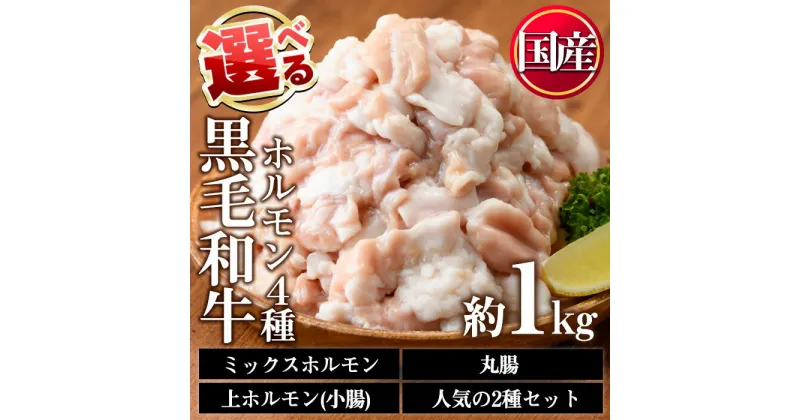 【ふるさと納税】＜4種から選べる＞国産！黒毛和牛ホルモン(ミックスホルモン計1kg/上ホルモン計1kg/丸腸計1kg/ミックスホルモン＋小腸合計1.1kg) 国産 九州産 牛肉 黒毛和牛 和牛 ホルモン 焼肉 鉄板焼き もつ鍋 タレ漬け 冷凍 小分け【カミチク】