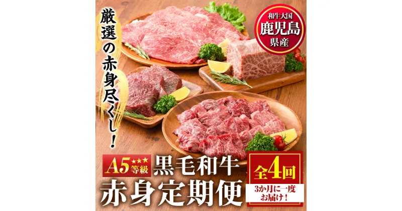 【ふるさと納税】＜定期便・全4回＞カミチクの定期便！鹿児島県産黒毛和牛赤身定期便(合計1.7kg)牛肉 黒毛和牛 和牛 ステーキ スライス 焼肉 BBQ キャンプ 定期便 頒布会 A5 冷凍 ギフト【カミチク】