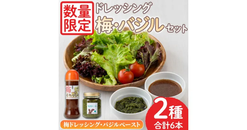 【ふるさと納税】＜数量限定＞ドレッシングセット！梅ドレッシング(300ml×5)・バジルペースト(120g×1) 無添加 手作り サラダ パスタ お肉料理 うめ 梅肉 調味料 ピザ【日置市観光協会】