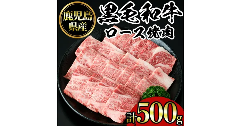 【ふるさと納税】鹿児島黒毛和牛ロース焼肉(500g) 国産 九州産 鹿児島県産 牛肉 黒毛和牛 和牛 お肉 おかず 焼き肉 ロース 冷凍【NBフード】