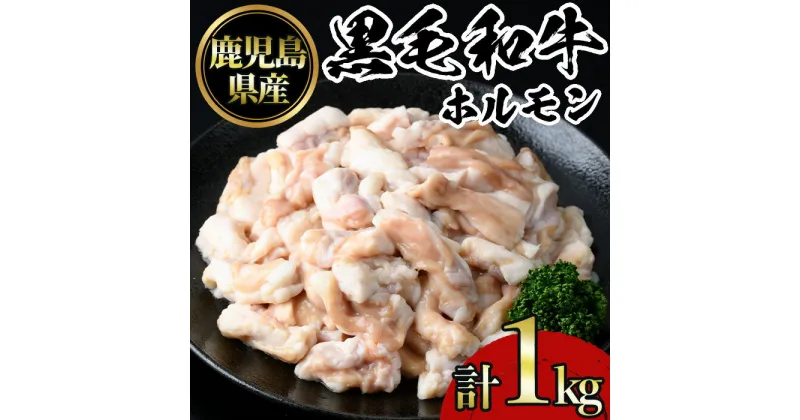 【ふるさと納税】鹿児島黒毛和牛ホルモン(500g×2P・計1kg) 国産 九州産 鹿児島県産 牛肉 黒毛和牛 和牛 お肉 おかず 焼き肉 ホルモン 小腸 冷凍【NBフード】