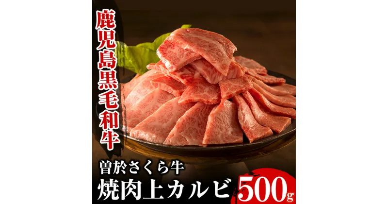 【ふるさと納税】曽於さくら牛焼肉ギフト(上カルビ500g) 鹿児島県産 国産 黒毛和牛 和牛 牛肉 牛 肉 上カルビ 焼肉 焼き肉 冷凍 ギフト 贈り物 プレゼント【福永産業】